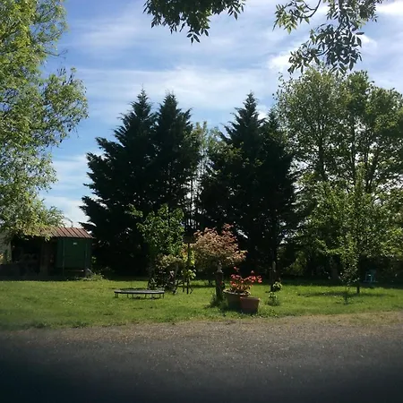 Des Glycines Castillonnes